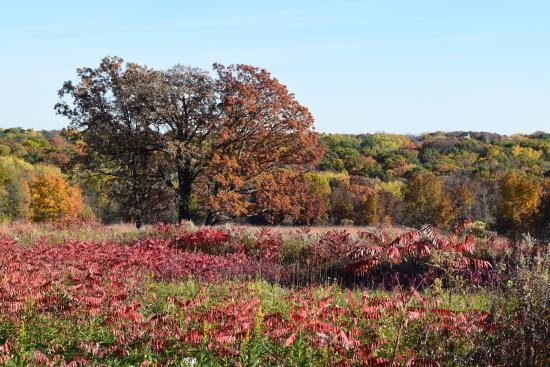 Owen Conservation Park